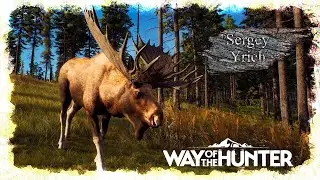 Way of the Hunter | разве это не каеф |  71 стрим.