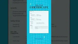 TLS Certificate Explained 