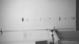 Slinky Drop