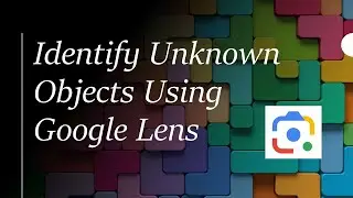 How to use Google Lens to identify the name of any object you don't know