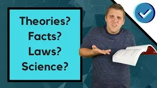 Theories vs Facts - What Are The Differences?