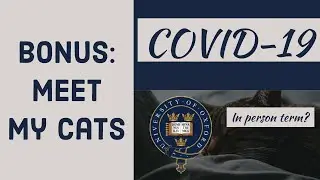 Fall term with COVID-19? + bonus footage of my cats! II OXVLOG