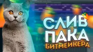 🎅СЛИВ ПАКА БИТМЕЙКЕРА | ПАК СЭМПЛОВ для FL Studio | ПАК СЭМПЛОВ | СЭМПЛЫ ДЛЯ ФЛ СТУДИО | FL Studio🎅
