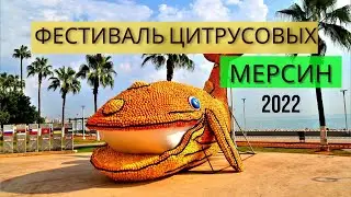 Фестиваль цитрусовых в Турции: Мерсин-2022