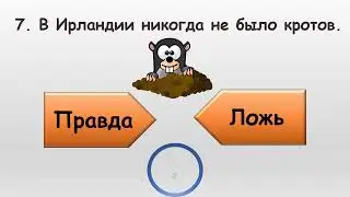 Викторина Угадай правда или ложь
