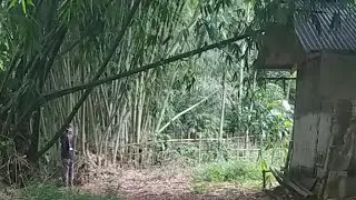 Cek Lokasi Live Misteri Lokasi Angker Maroko