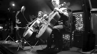 If I Had You - Brad McNett and the Wildcats