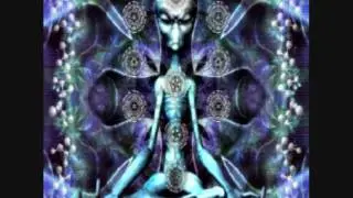 Terence Mckenna - To wrap it all up...