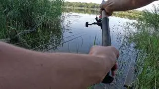 Заброс фидера
