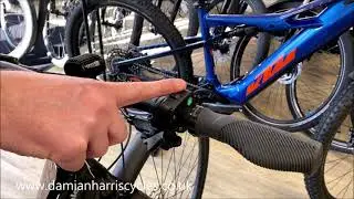 Cannondale Tesoro Neo SL EQ Remixte
