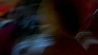 Why Cats Shouldn't Sleep In Drums