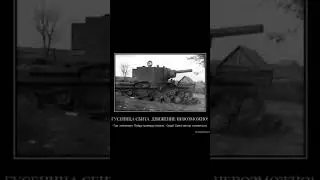 гусиница сбита