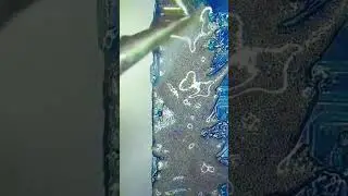 Shiva Mobile World gurbaksh Ganj  Mobile C