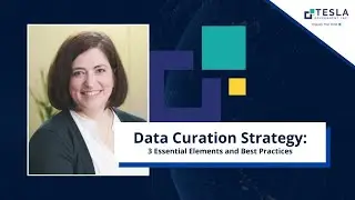 Tesla Government | Data Curation Strategy: 3 Essential Elements and Best Practices