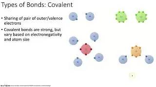 Microbiology 101: Chemistry Review, Taxonomy, and History (Lecture 1 of 14)