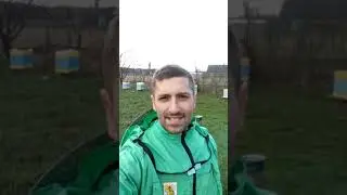 Про быстрое расширение пчёл весной