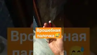 Волшебная палочка! 😅 #кошечки #юмор