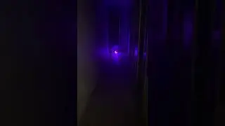 Купили Аделю скейт борд