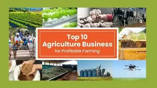 Top 10 Agriculture Business Ideas in India // Agricultural start up in India