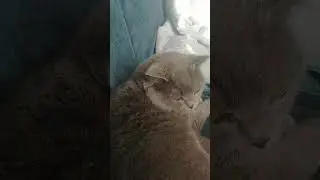 Спишь что ли?)