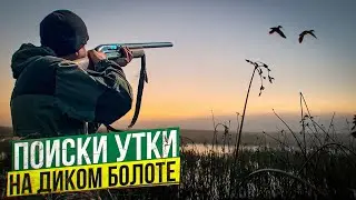 ОХОТА НА УТКУ С ПОДХОДА. Красивая утренняя зорька в тумане.