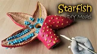 Starfish 3D Model | Styrofoam  Carving Art | DIY Project