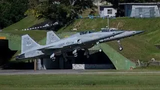 September 2002, the Philippine Air Force plan to buy 24 units surplus F5E Fighter Jets from Taiwan