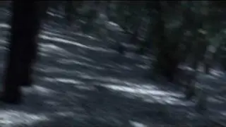 Cortex Nemesis Official Trailer