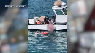 Woman dead near Santa Barbara Harbor after attempted water rescue