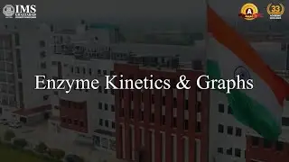 Enzyme Kinetics and its Graph