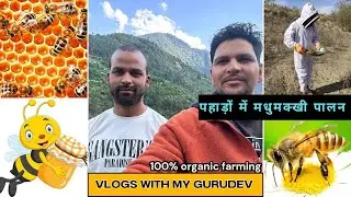 (मेरे गुरुदेव) पहाड़ी मधुमक्खी  के टॉप 1 मधुमक्खी पालक  हि॰प्र॰ //beekeeping top beekeeper in H.P