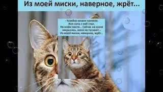 Добавляем юмор в жизнь! 😍💕😁😜😂💖