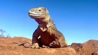 Discover The World with an Award Winning Videographer!