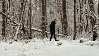 How to survive in the fall? 