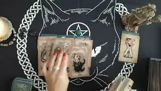 🌀🏹КАКАЯ КРЫСА САМА СЕБЯ И НАКАЗАЛА⁉️⚖️😭