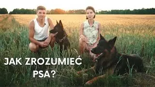 JAK ZROZUMIEĆ PSA? - PORADNIK - KRZYSZTOF TATAR