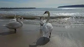 Galaxy S23 Ultra 8K Video Quality Test (8K30 video)