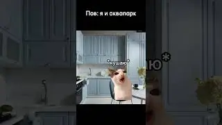 Рил: я и аквапарк #shorts #short #memes #meme #mem #cat #cats #мем #кот #мемы #коты