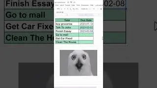 Date Picker in Google Sheets | google sheet Tips and tricks | #shorts