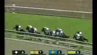Race of the Decade- 2003 Breeders Cup Turf