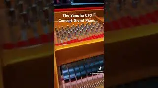 The Yamaha CFX is the new standard! 