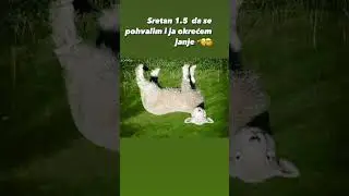 26 Godina na Birou i ono Obiljezava  Prvi Maj 😂.”