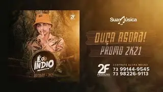 NINFETA -  É O ÍNDIO | Pra Bater No Paredão 2021