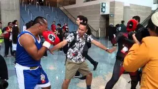 My Experience at Anime Expo 2015!