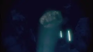 Тёмный лес*
