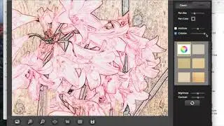 How to make a quick line drawing from a picture