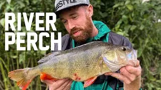 Big Perch lure fishing - Early season river perch fishing on shads!