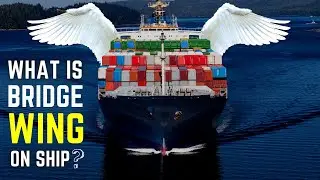 What are Bridge wings?