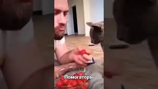 лучший друг 