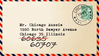 Chicago’s Zip Code Oddities